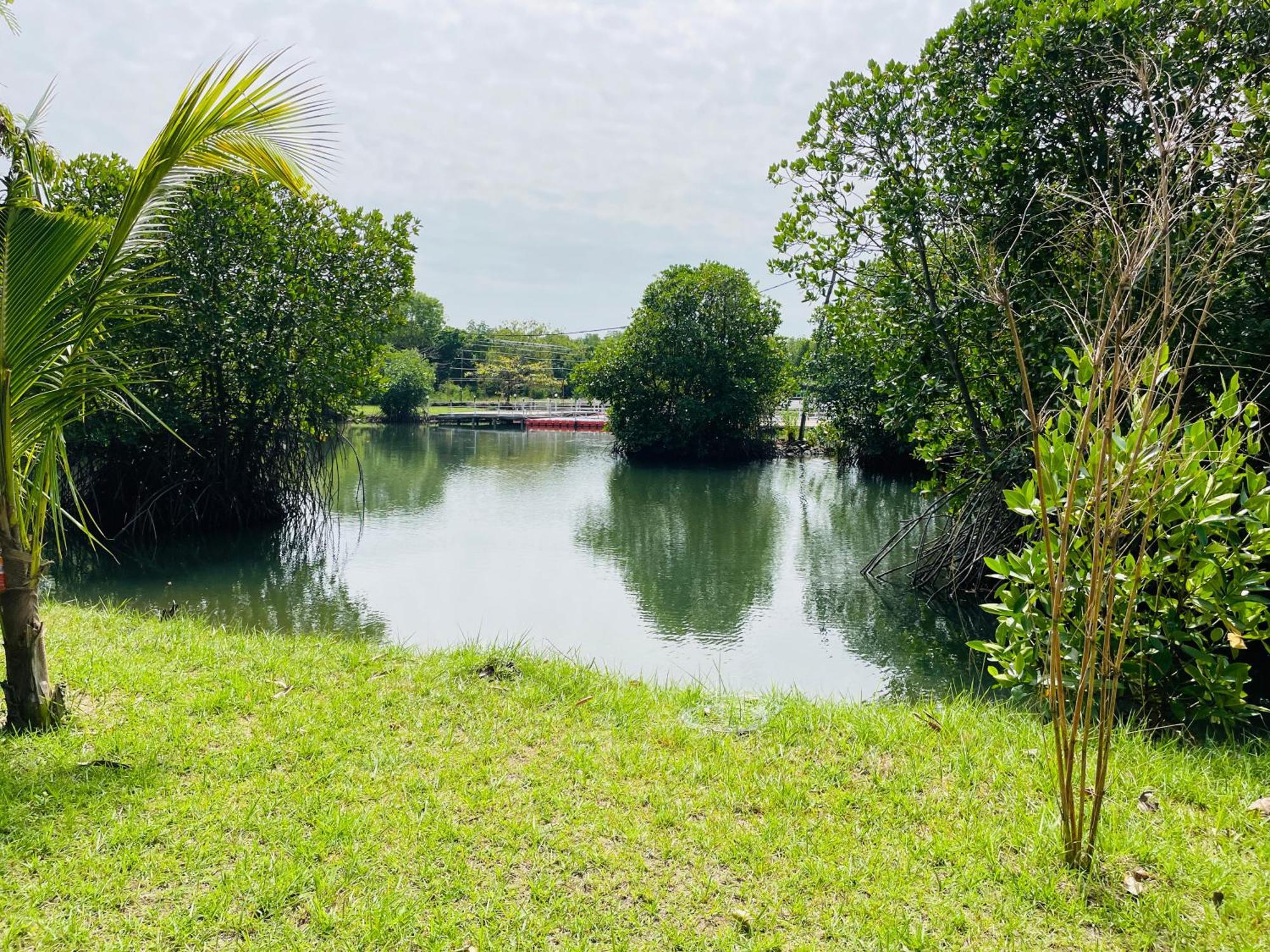 נגומבו King'S Island Resort מראה חיצוני תמונה
